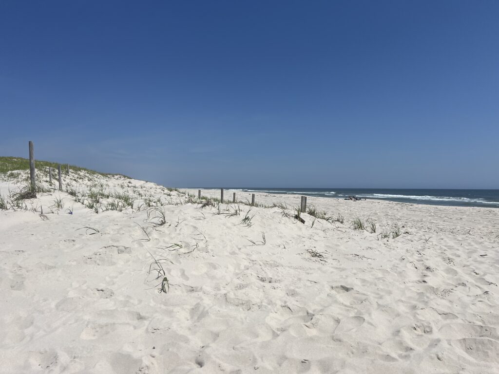 a sandy beach with a fence and water in the background (MyCoast AI)