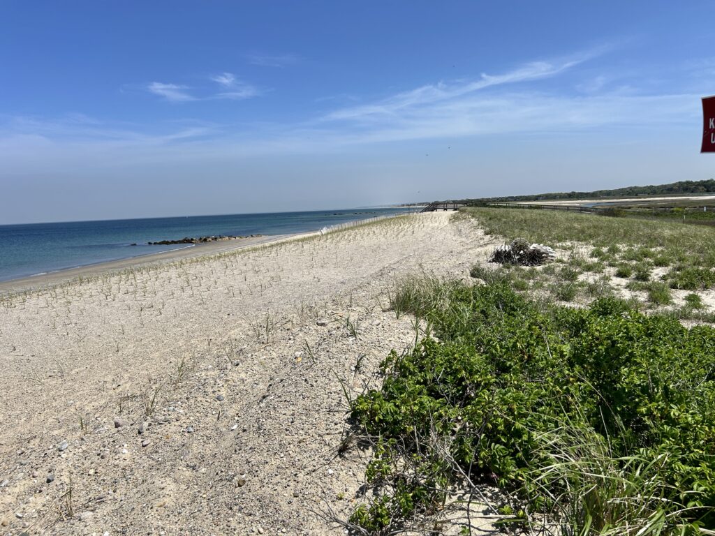 a sandy beach with bushes and grass (MyCoast AI)