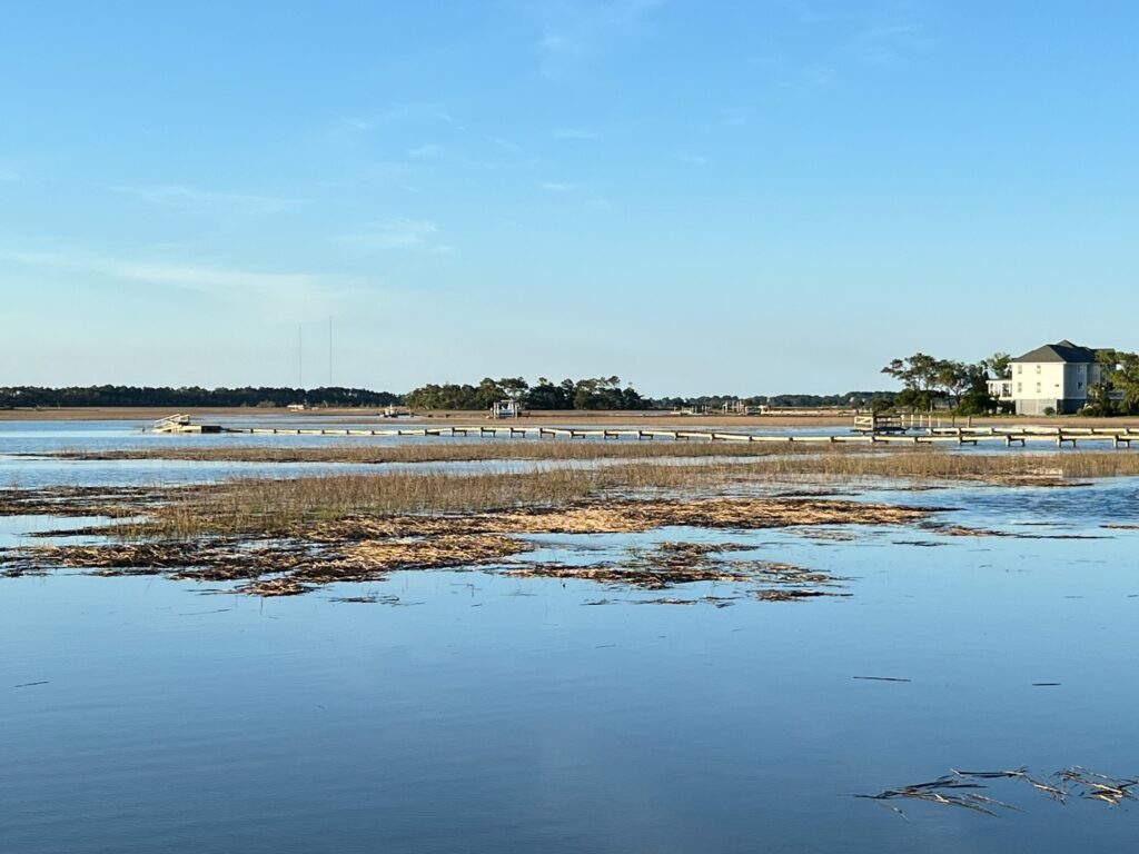 a body of water with land in the back (MyCoast AI)