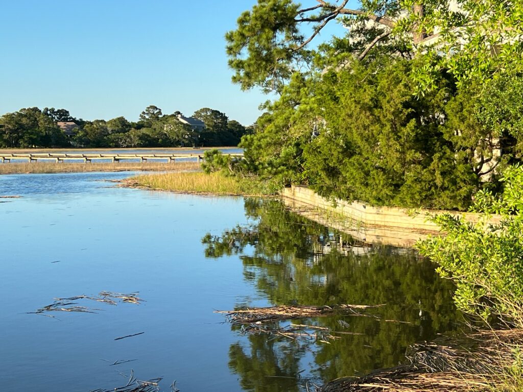 a body of water with trees around it (MyCoast AI)