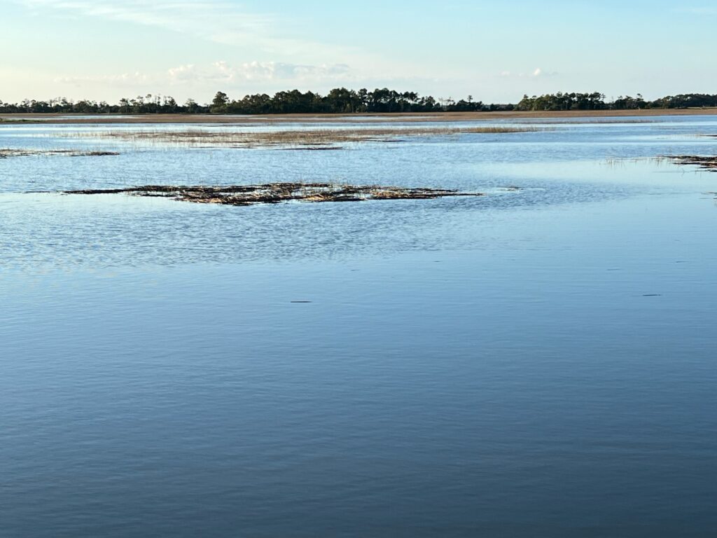 a body of water with land in the background (MyCoast AI)