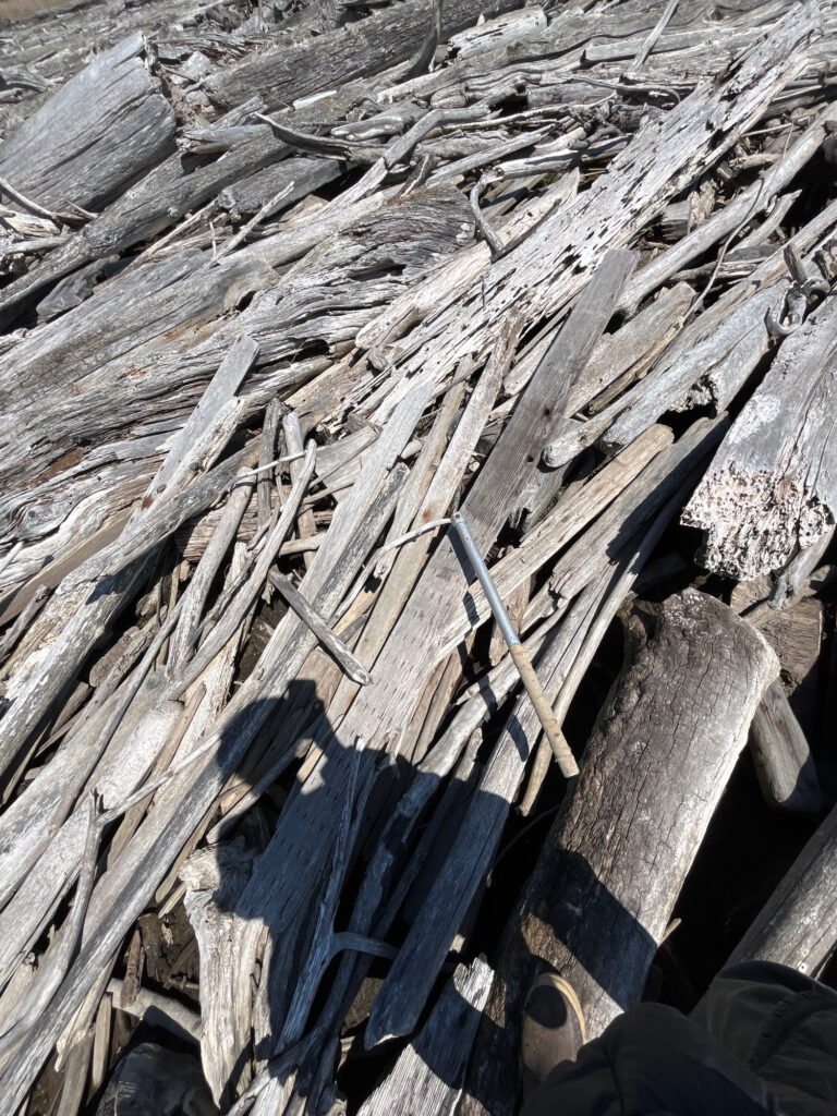 a pile of wood (MyCoast AI)