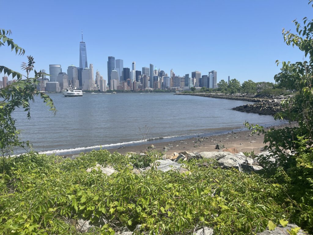 a city skyline across a body of water (MyCoast AI)
