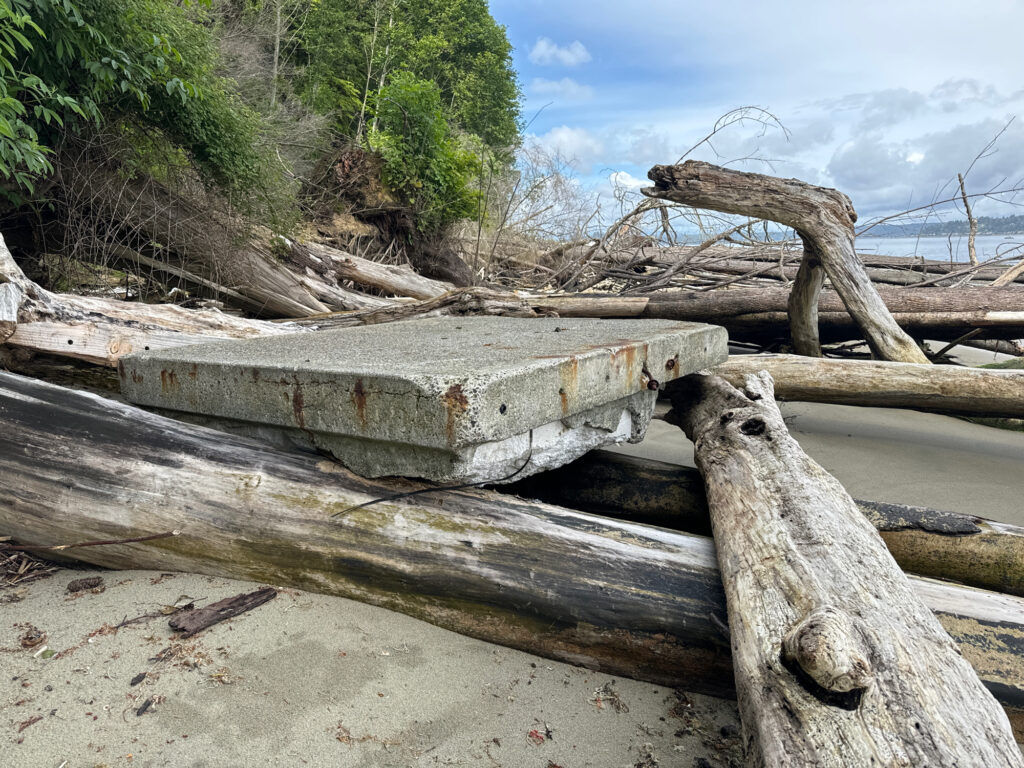 a group of logs and a boat (MyCoast AI)
