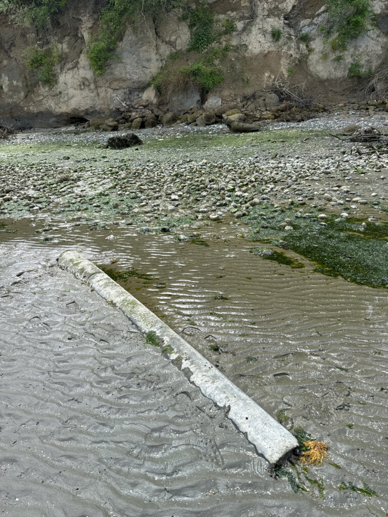 a stream of water with rocks and grass (MyCoast AI)