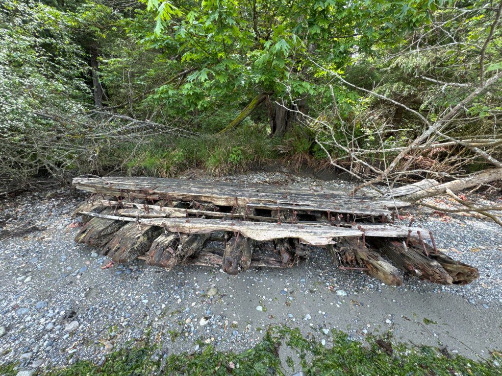 a wooden bridge over a river (MyCoast AI)