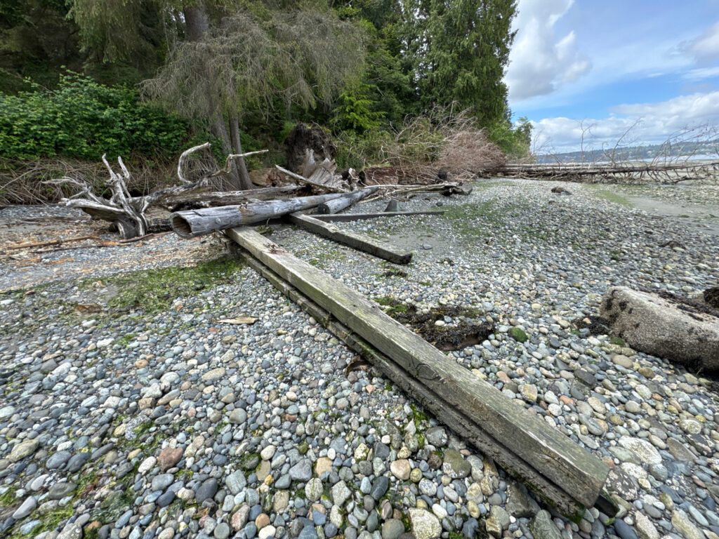 a rocky river bed (MyCoast AI)