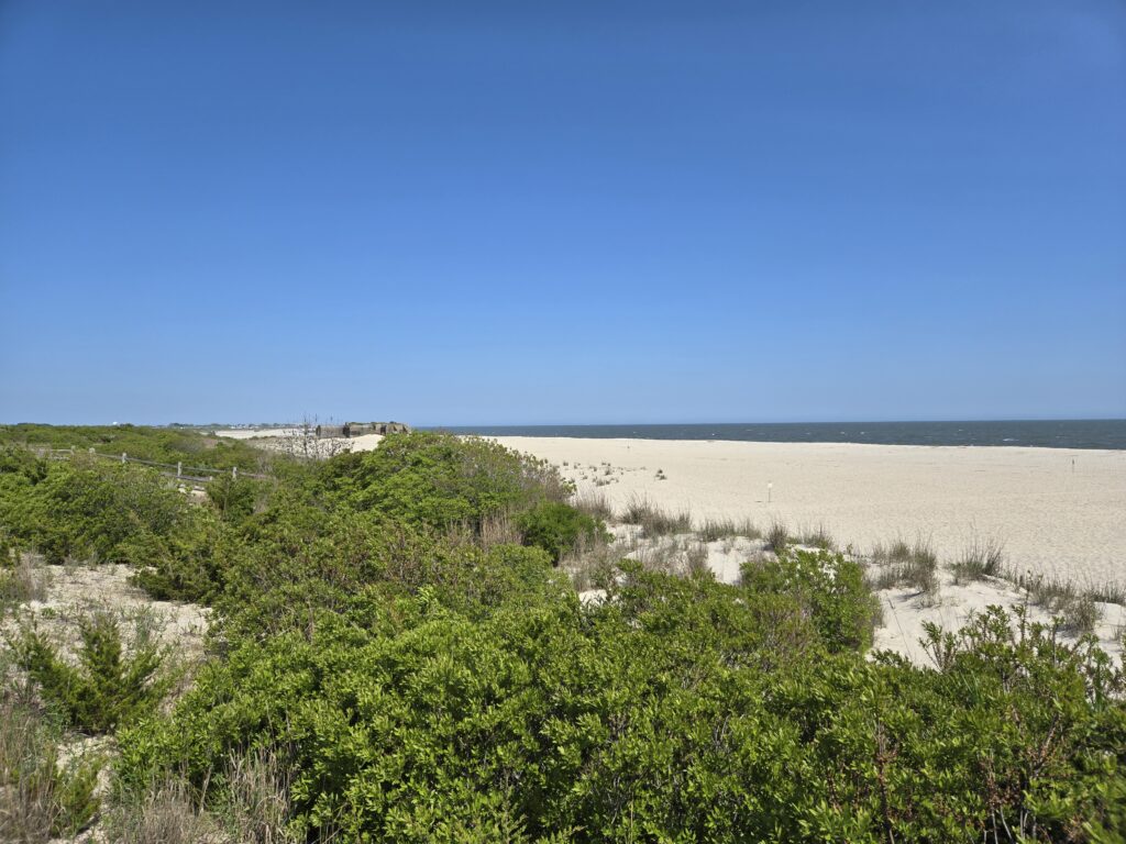 a sandy beach with trees (MyCoast AI)
