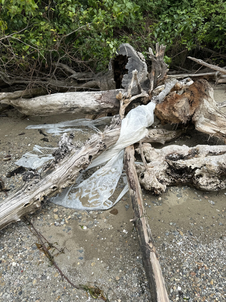 a stream with a broken log (MyCoast AI)