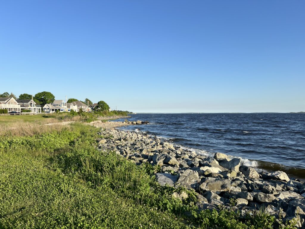 a rocky beach with houses and trees (MyCoast AI)