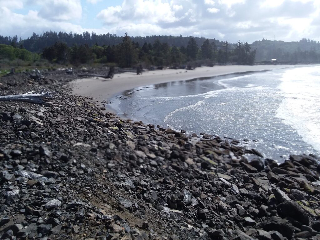 a rocky beach with a body of water and trees in the background (MyCoast AI)