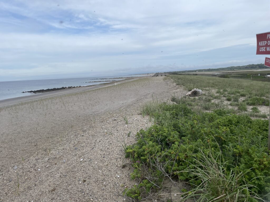 a beach with a sign (MyCoast AI)