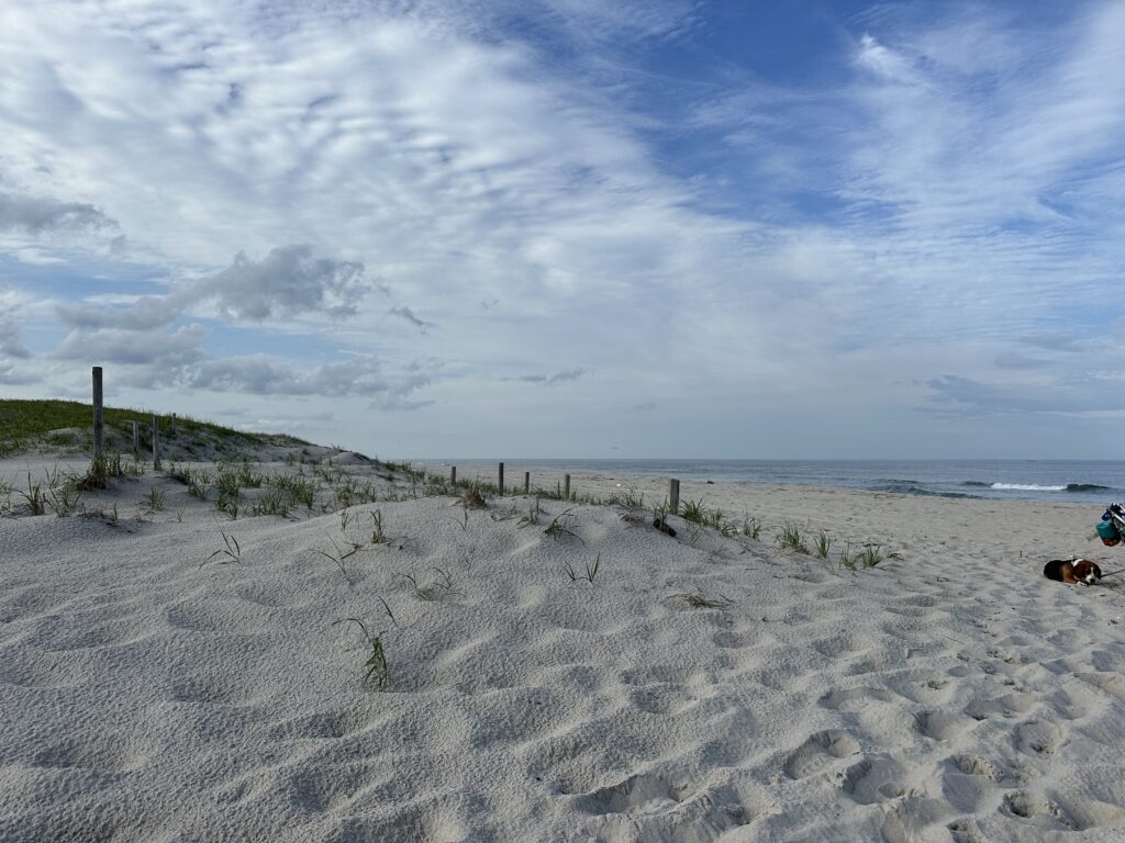 a sandy beach with a fence and trees (MyCoast AI)