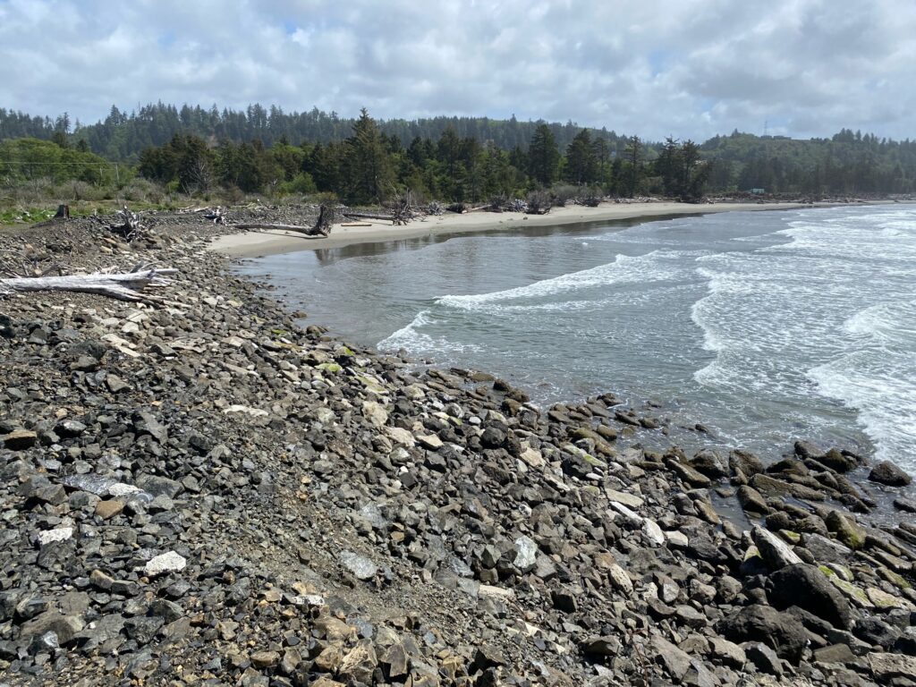 a rocky beach with a body of water and trees in the background (MyCoast AI)