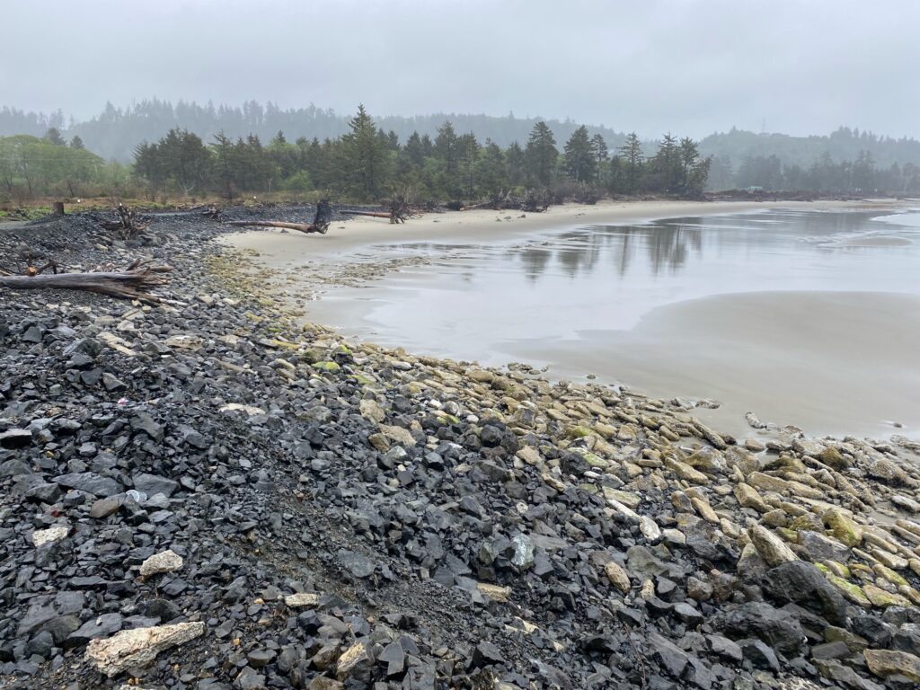 a rocky shore with a body of water and trees in the background (MyCoast AI)