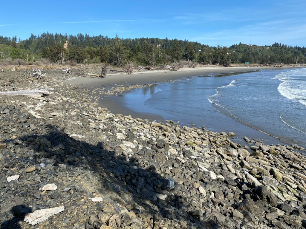 a rocky beach with trees in the background (MyCoast AI)