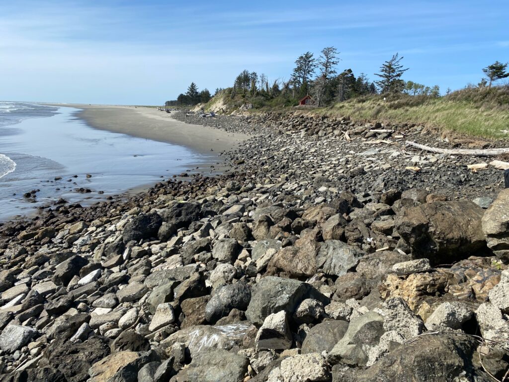 a rocky beach with trees and water (MyCoast AI)