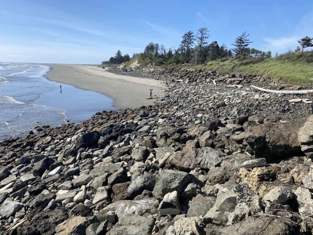 a rocky beach with a body of water and trees in the background (MyCoast AI)