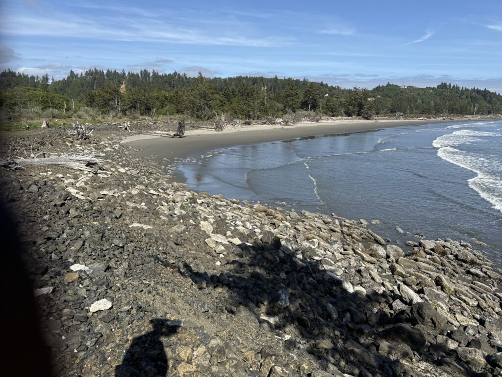 a rocky beach with trees in the background (MyCoast AI)