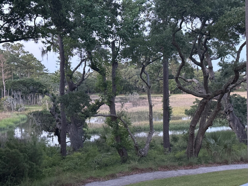 a river with trees and grass (MyCoast AI)