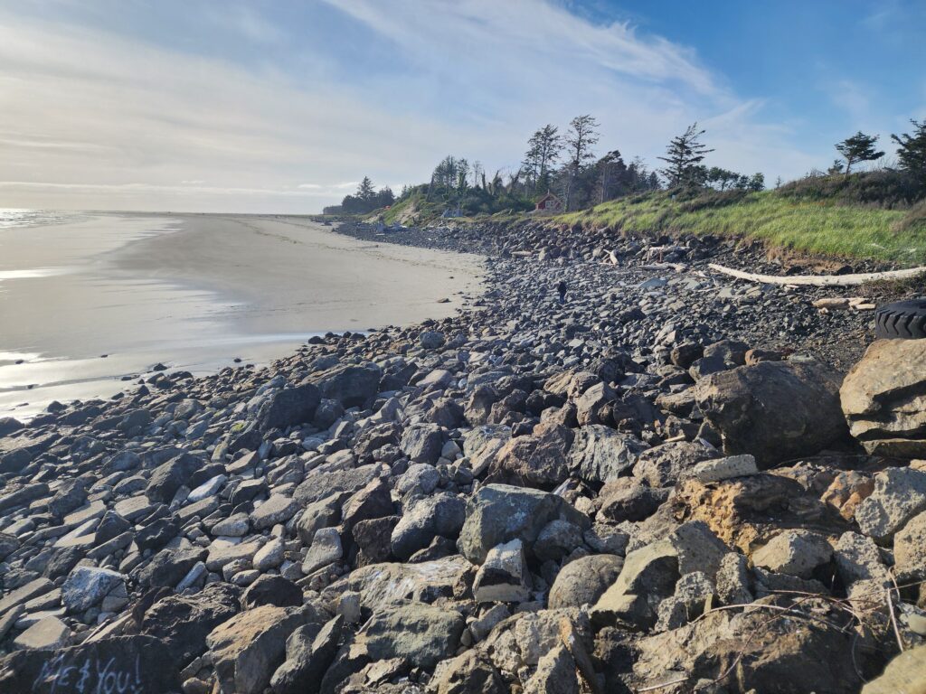 a rocky beach with trees and water (MyCoast AI)