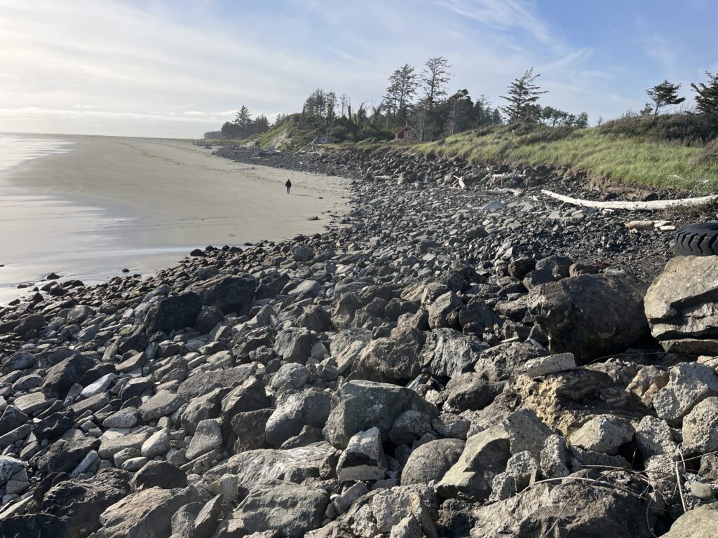 a rocky beach with trees and water (MyCoast AI)