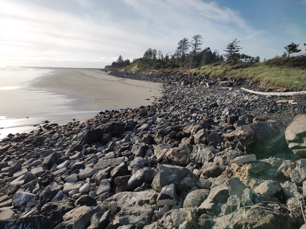 a rocky beach with trees and water (MyCoast AI)