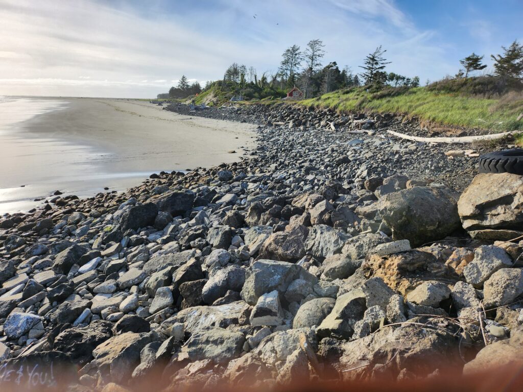 a rocky beach with trees and grass (MyCoast AI)