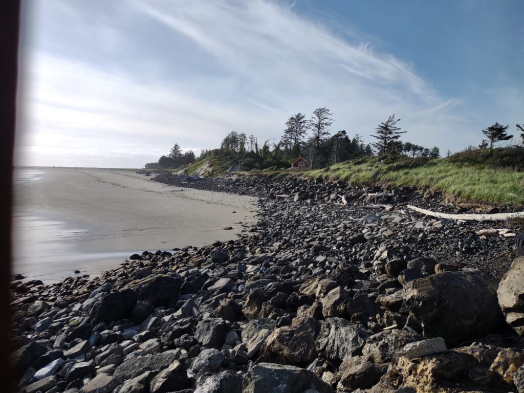 a rocky beach with trees and grass (MyCoast AI)