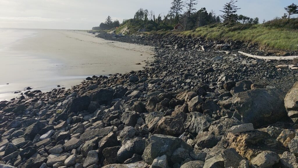 a rocky beach with trees and grass (MyCoast AI)