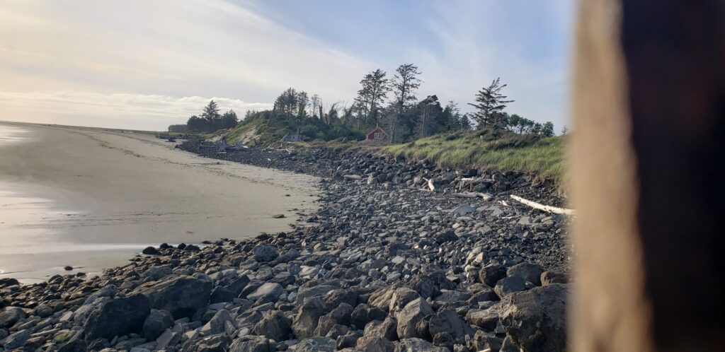 a rocky beach with trees in the background (MyCoast AI)