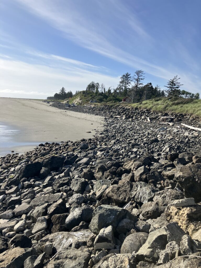 a rocky beach with trees in the background (MyCoast AI)