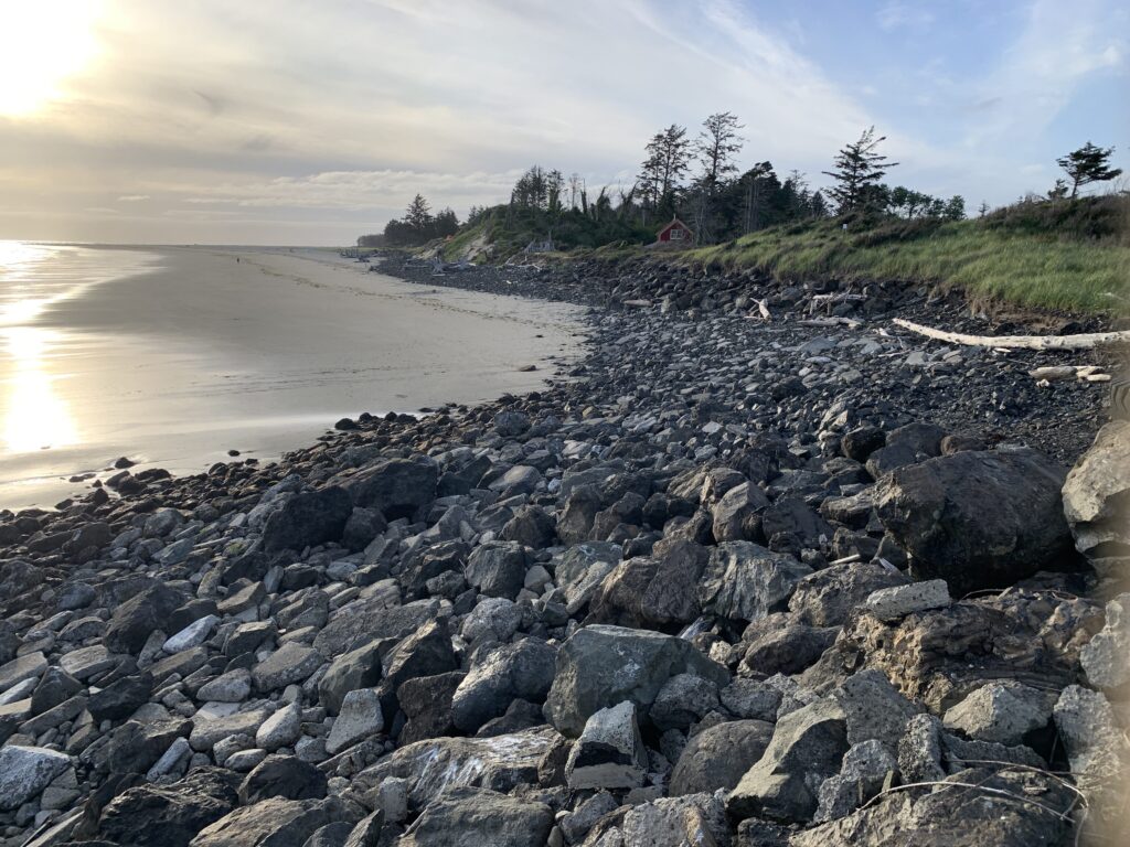 a rocky beach with trees and water (MyCoast AI)