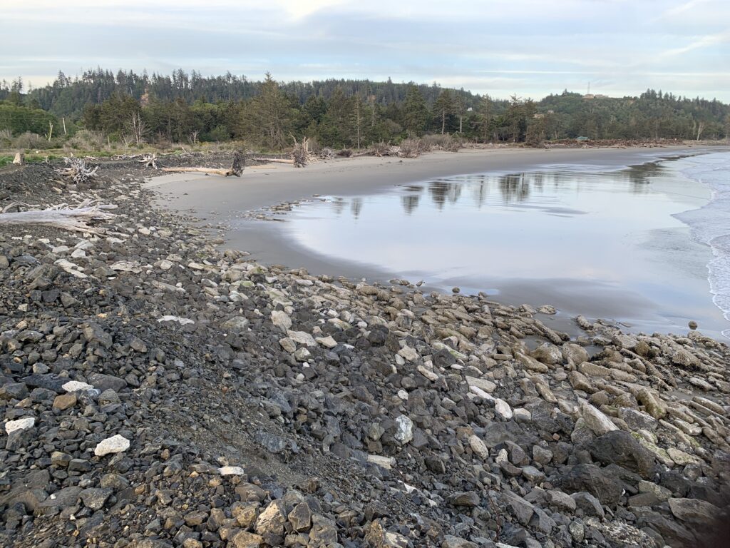a rocky beach with a body of water and trees in the background (MyCoast AI)
