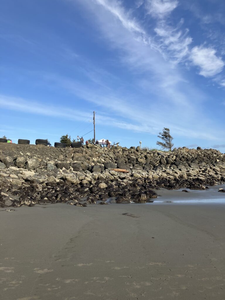 a rocky beach with a tower in the distance (MyCoast AI)