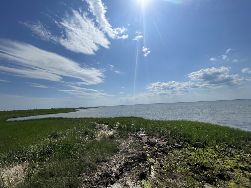 a grassy area with water in the background (MyCoast AI)