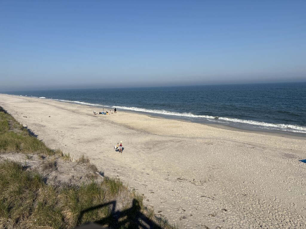 people on a beach (MyCoast AI)