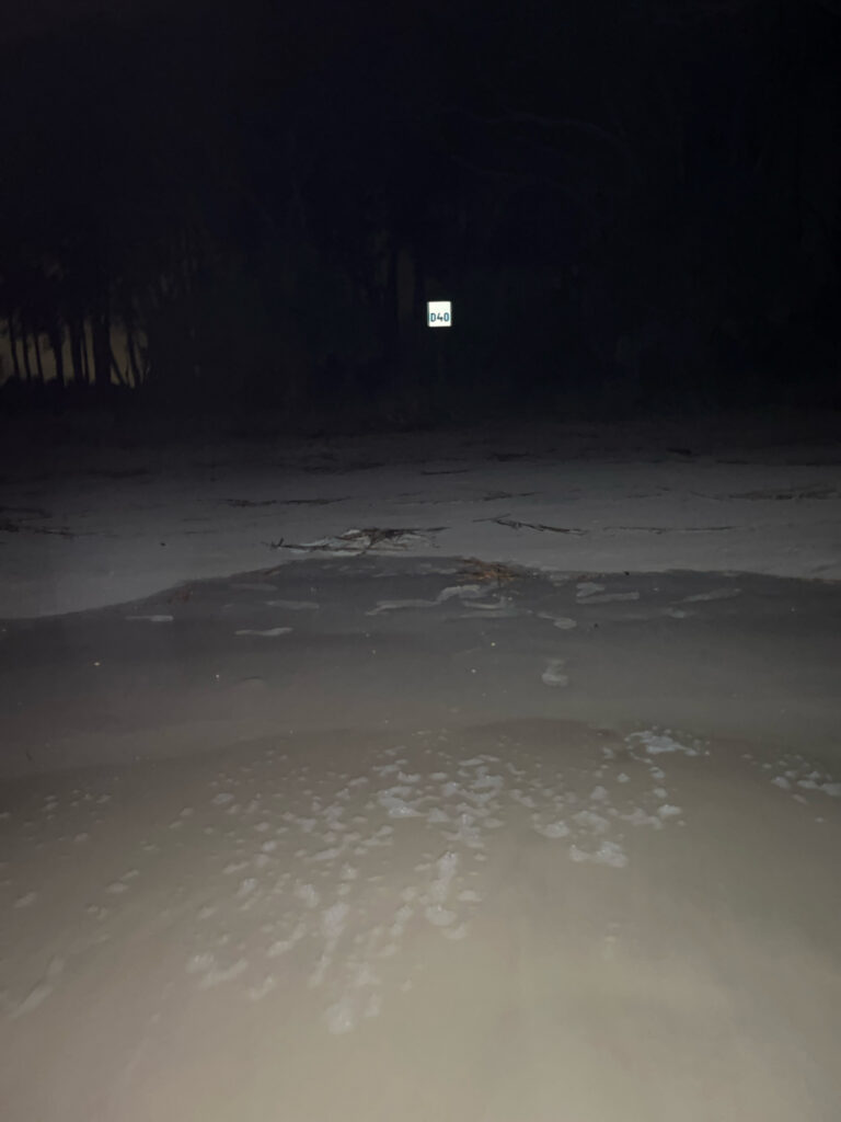 a sandy beach at night (MyCoast AI)