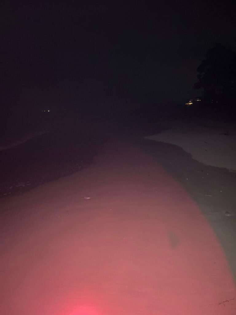 a pink wave at night (MyCoast AI)