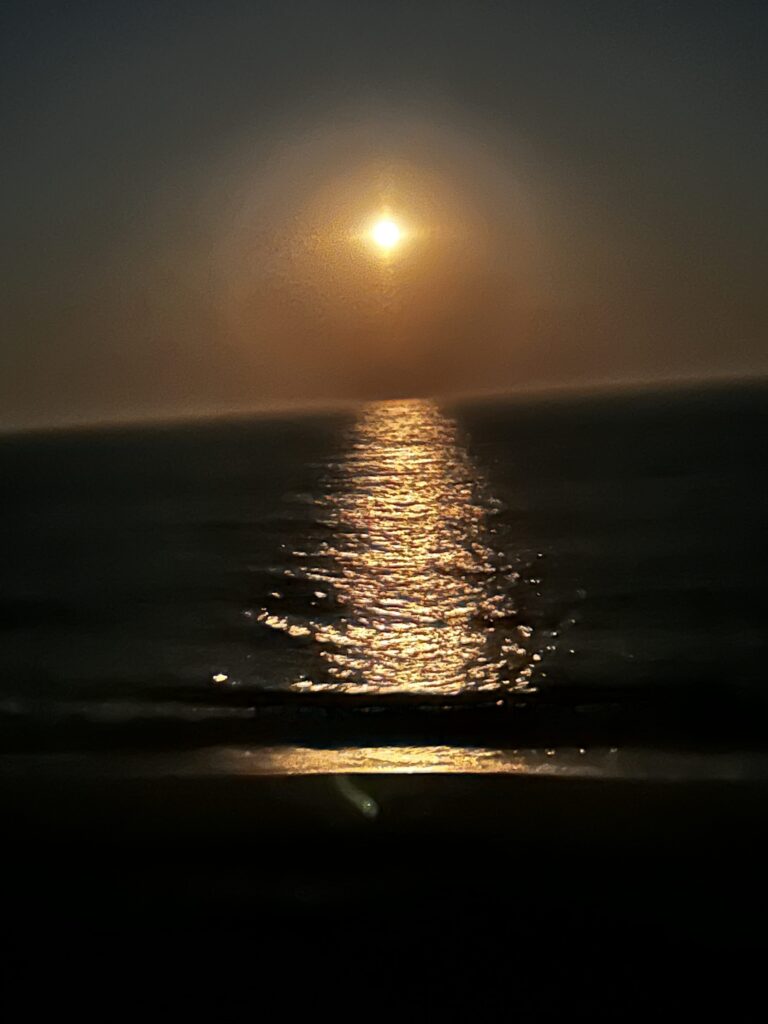 a body of water with the sun in the background (MyCoast AI)