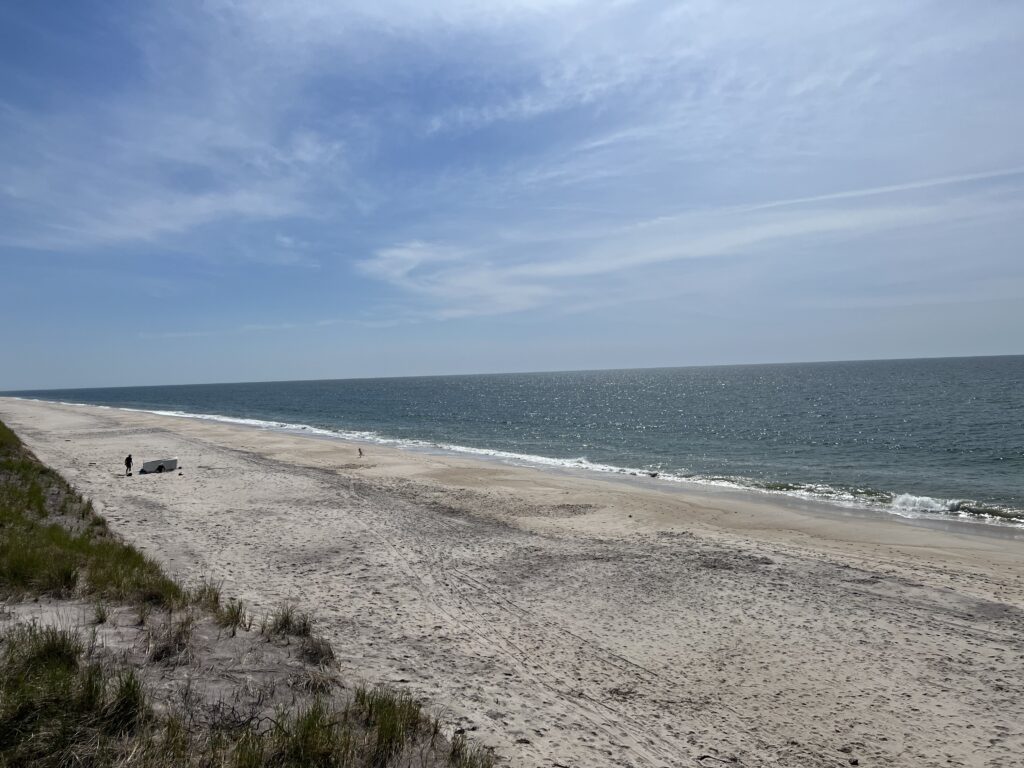 a sandy beach with waves crashing on it (MyCoast AI)