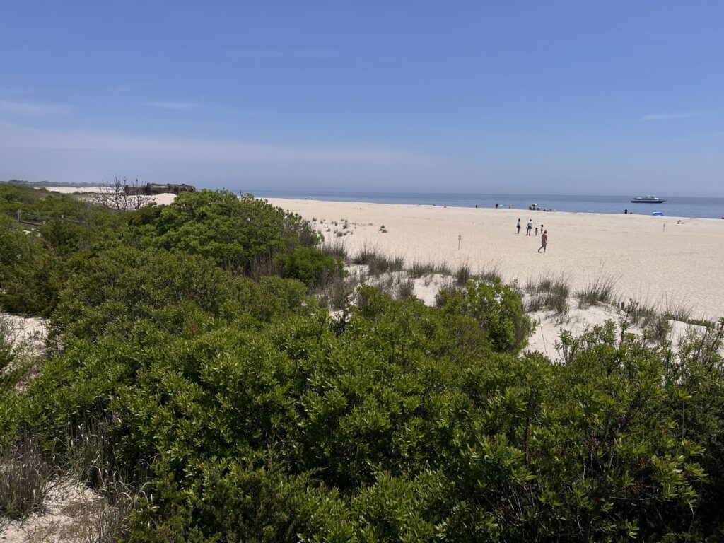 a beach with trees and people (MyCoast AI)