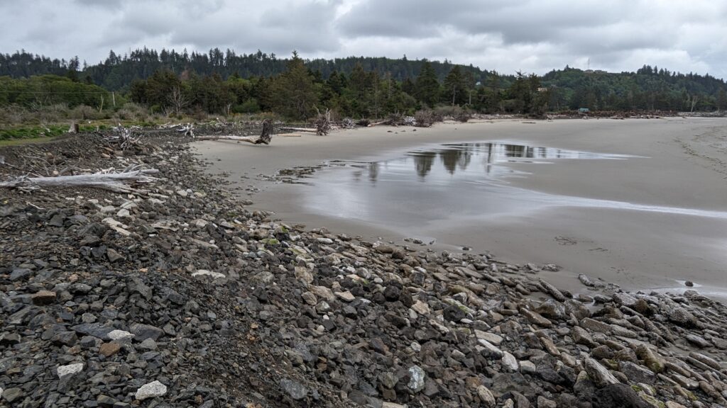 a rocky beach with trees in the background (MyCoast AI)