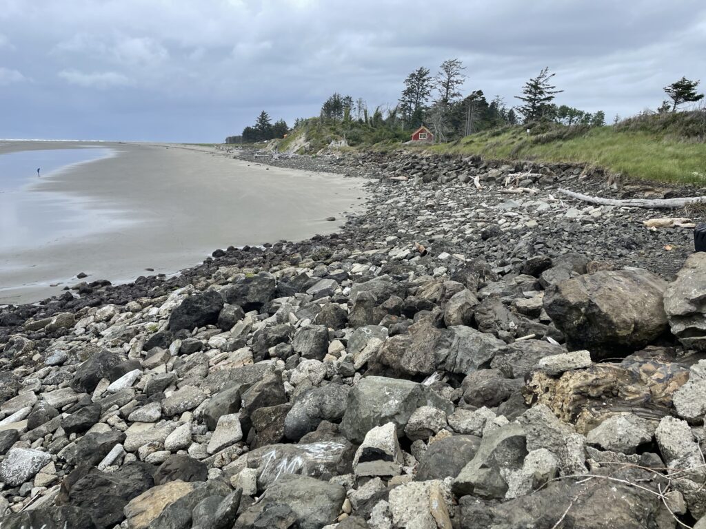 a rocky beach with a hill and trees in the background (MyCoast AI)