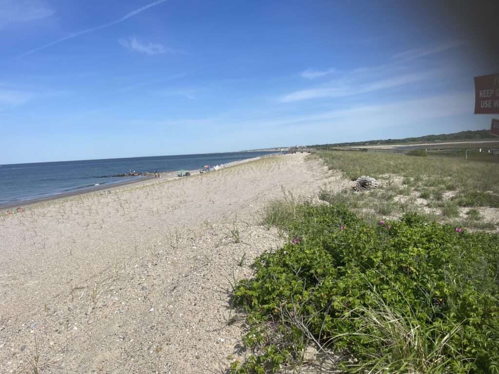 a beach with a sign (MyCoast AI)