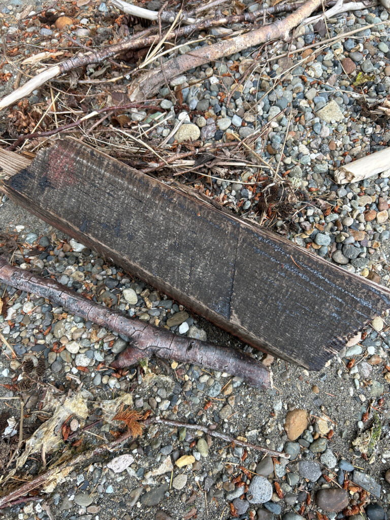 a pipe in the ground (MyCoast AI)