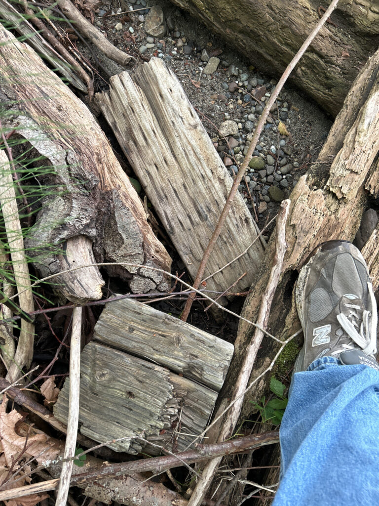 a person's feet on a tree stump (MyCoast AI)