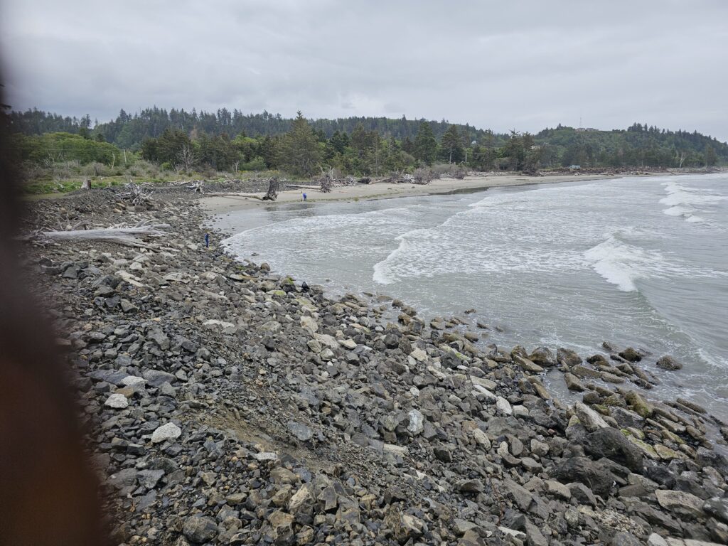 a rocky beach with trees in the background (MyCoast AI)