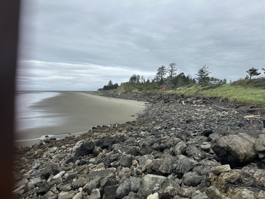 a rocky beach with a body of water and trees in the background (MyCoast AI)