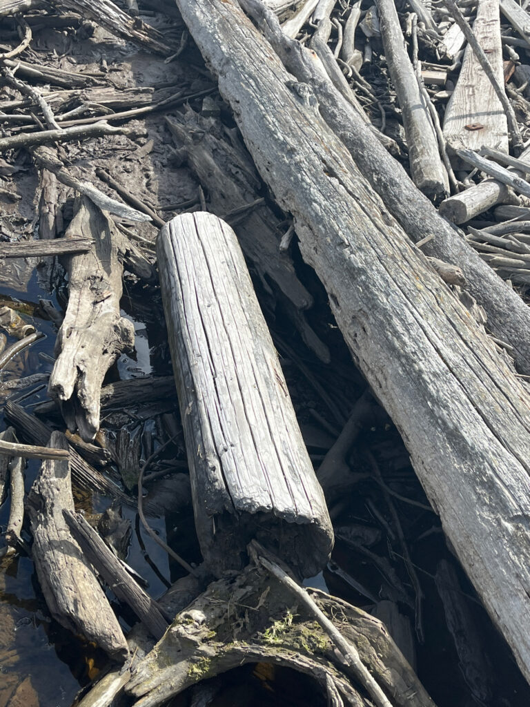 a wooden cross in a tree (MyCoast AI)